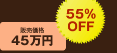 販売価格45万円 55％OFF